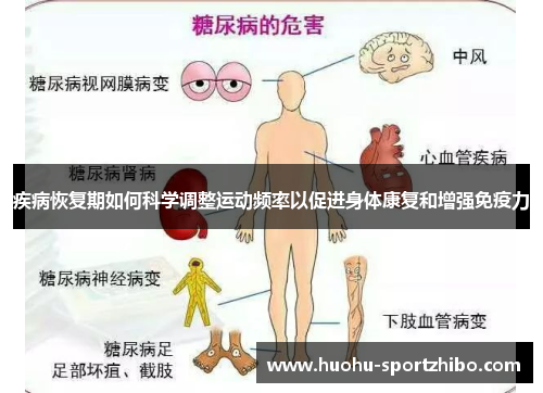 疾病恢复期如何科学调整运动频率以促进身体康复和增强免疫力